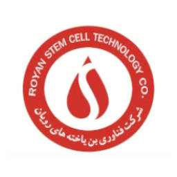 شرکت فناوری بن یاخته های رویان